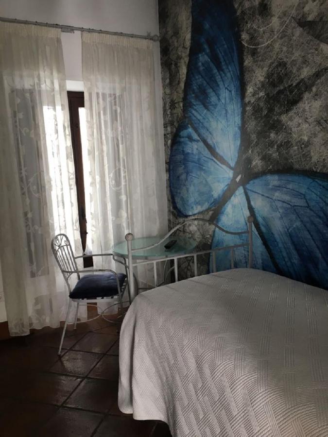Boutique Puerta Del Rincon