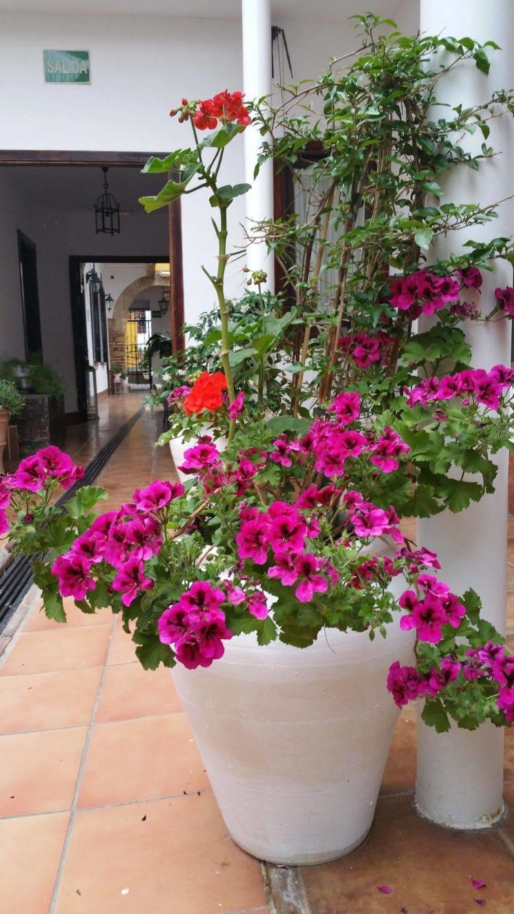 Boutique Puerta Del Rincon