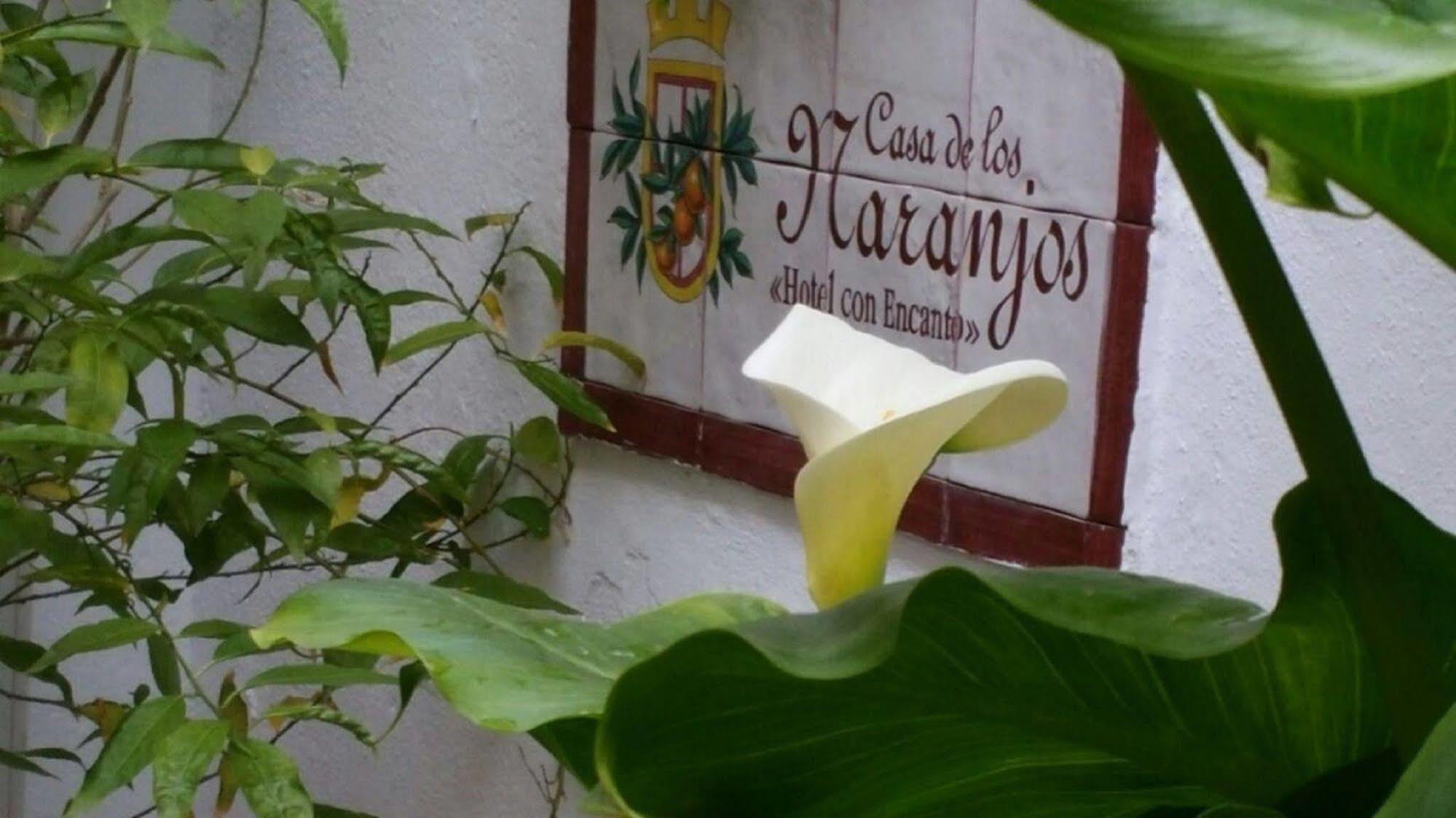 Boutique Puerta Del Rincon